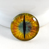 Gold and Teal Green Dragon Glass Eye