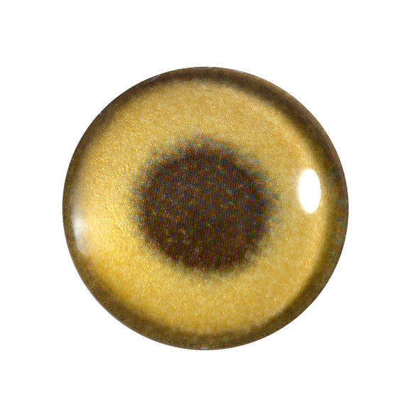 gold metallic glass eye