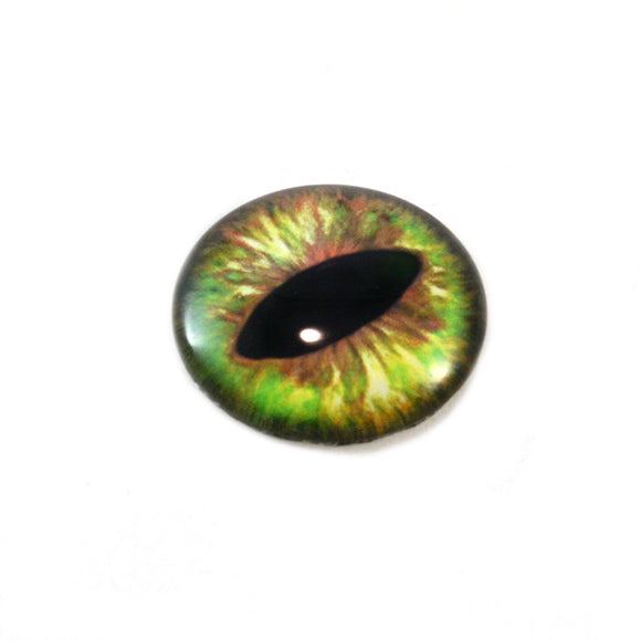 Green and Brown Dragon or Cat Glass Eye