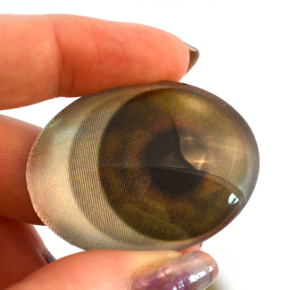 Animated Dark Green Oval Doll Glass Eyes