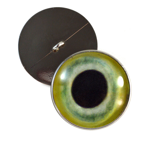 Sew On Buttons Light Green Parrot Glass Eyes