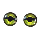 green sea turtle eyes