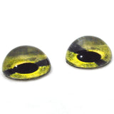 High Domed Green Sea Turtle Glass Eyes