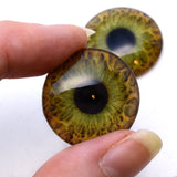 25mm Hazel Human Glass Eyes