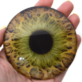 Large 78mm Hazel Human Glass Eyes