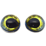High Domed Moray Eel Glass Eyes