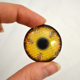 Honeycomb Bees Glass Eye