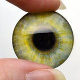 Hazel Green Glass Eye
