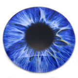 Large 78mm Intense Ice Blue Human Glass Eyes 3 Inch