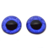 High Domed Jewel Toned Dark Blue Human Glass Eyes