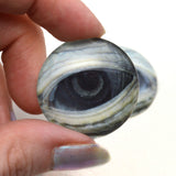 Lidded Green Sea Turtle Glass Eyes