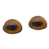 High Domed Brown Lion Glass Eyes