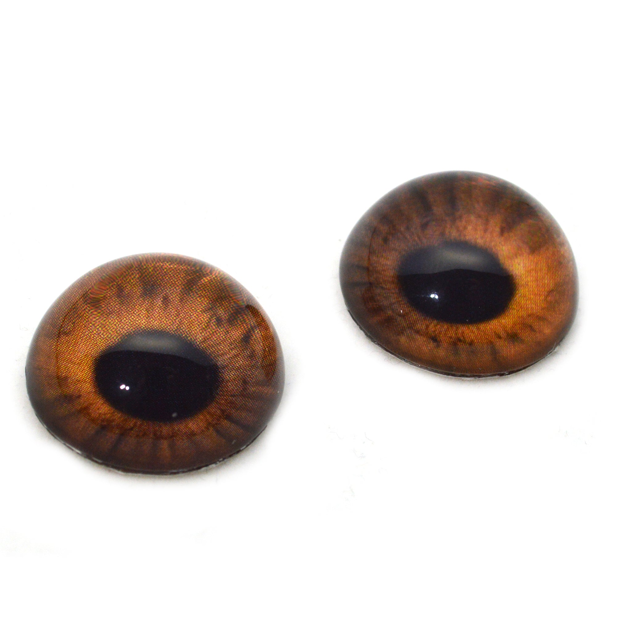  14mm Pair of Brown Teddy Bear Glass Eyes for Jewelry Making,  Dolls, Sculptures, More