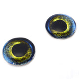 Moray Eel Glass Eyes