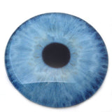 Large 78mm Natural Blue Human Glass Eyes