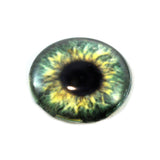 Olive Green Human Glass Eye