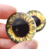 High Domed Olive Green Human Glass Eyes