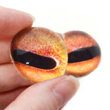 High Domed Orange Octopus Glass Eyes