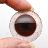 Dark Brown Human Glass Eyes with Whites