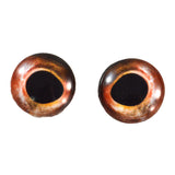 red bass glass fish eyes