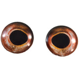 red bass glass fish eyes
