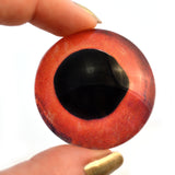 Red fish glass eyes
