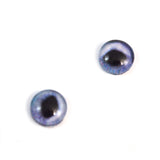 Dark Blue Siamese Cat Glass Eyes