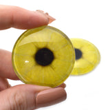 Lemon Slice Yellow Glass Eyes