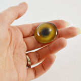 Tan Lion Glass Eye