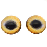 High Domed Tan Wolf Glass Eyes