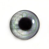 Tech Power Cyberpunk Glass Eye