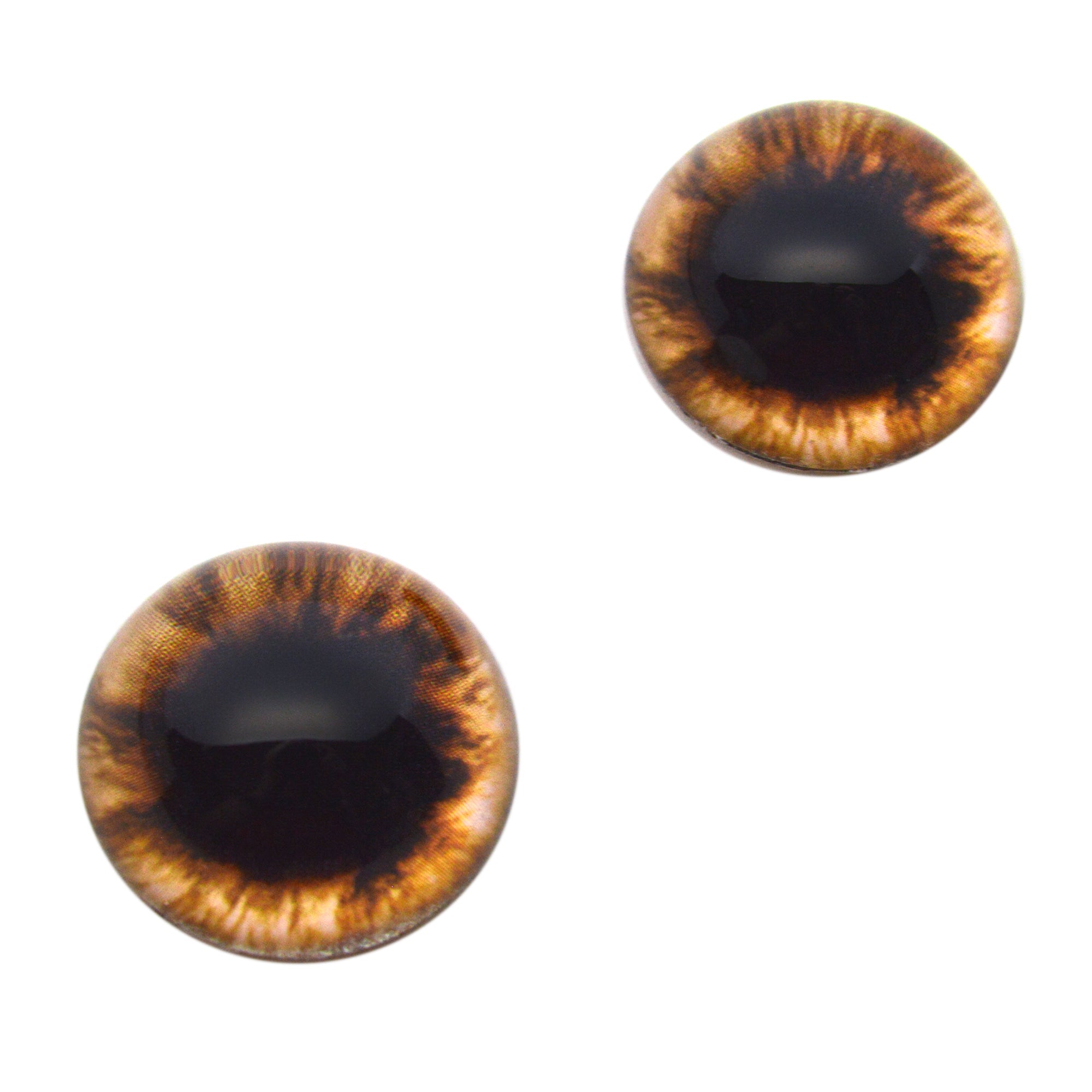 High Domed Medium Brown Human Glass Eyes – Handmade Glass Eyes