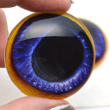 Blue Toucan Bird Glass Eyes