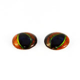 Tree Frog Glass Eyes