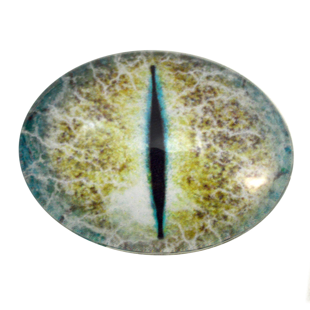 Oval Blue and Yellow Crackle Dragon Glass Eyes – Handmade Glass Eyes